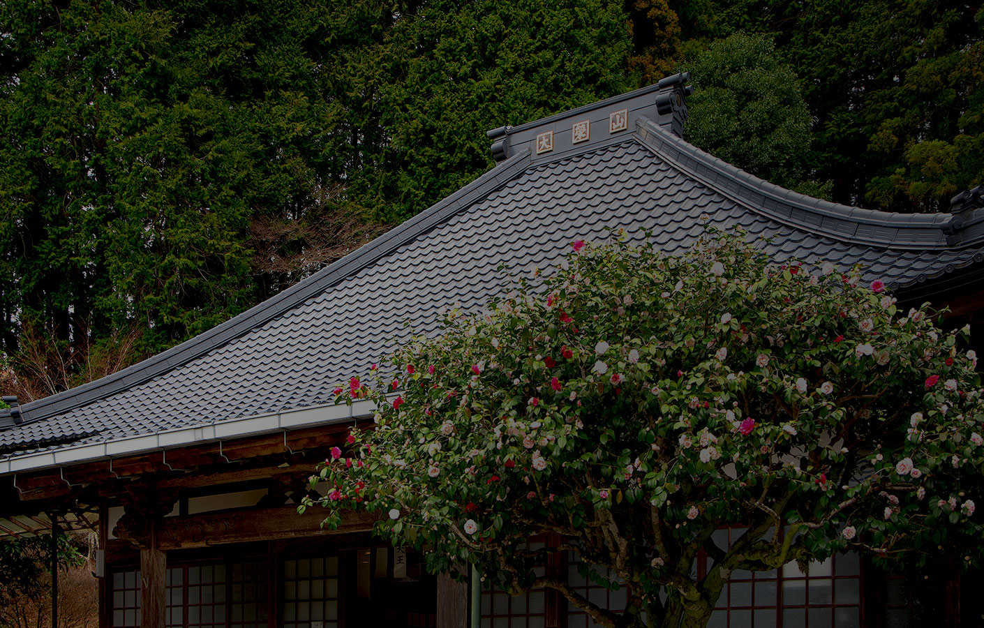 お寺の屋根と花
